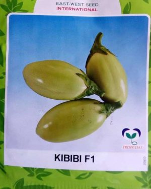 African Kibibi Eggplant Seed (East-West) | 1000 Seeds