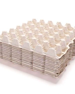 Empty Paper Egg Crates (100 Pcs)