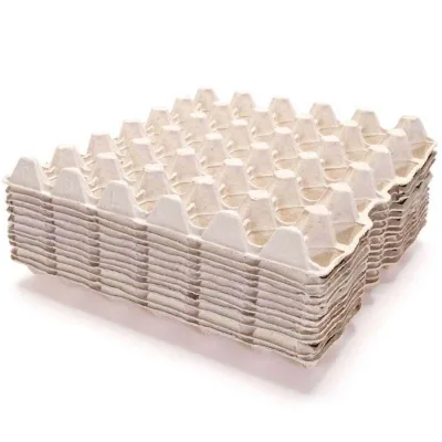 Empty Paper Egg Crates (100 Pcs) – 1 Bundle