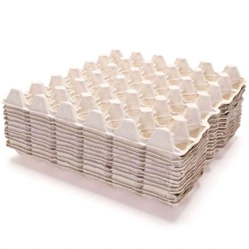 Empty Paper Egg Crates (100 Pcs)