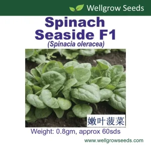 Spinach Seaside F1