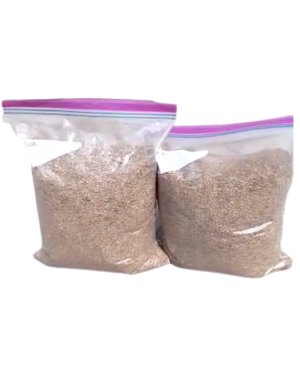 Brachiaria Grass Seed