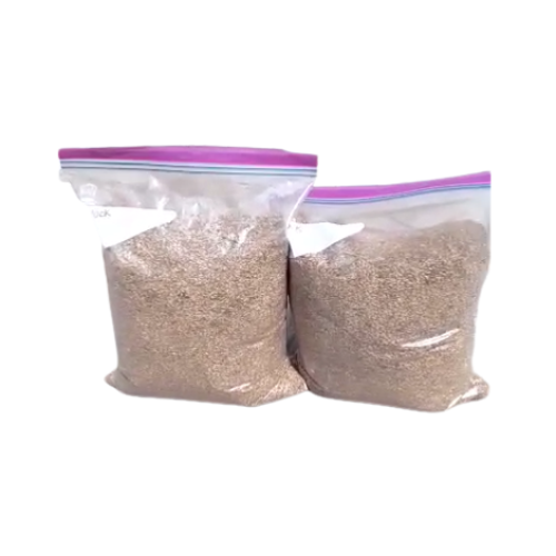 Brachiaria Grass Seed | 1kg