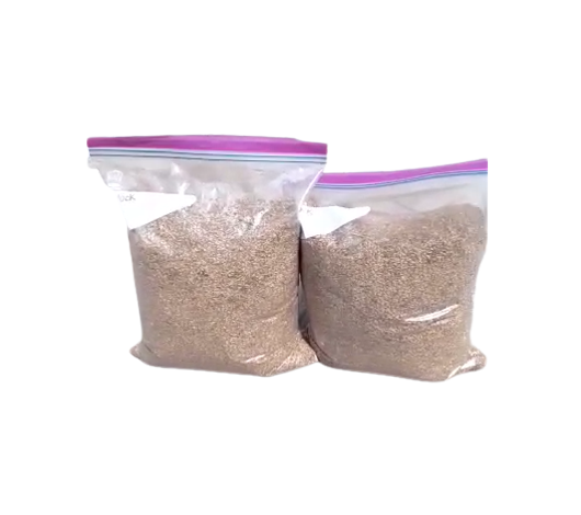 Brachiaria Grass Seed