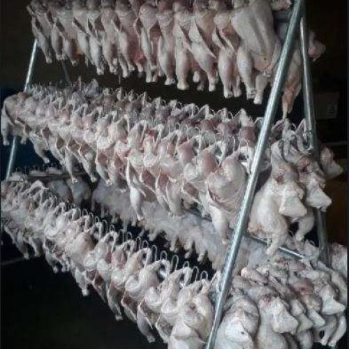 Stainless Chicken Processing Drip Hanger