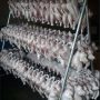 Stainless Chicken Processing Drip Hanger
