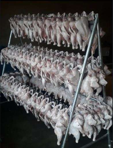 Stainless Chicken Processing Drip Hanger