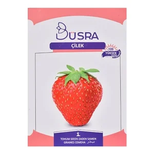 Bursa Strawberry Seed