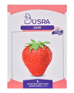 Bursa Strawberry Seed