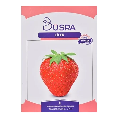 Bursa Strawberry Seed |100 Seeds