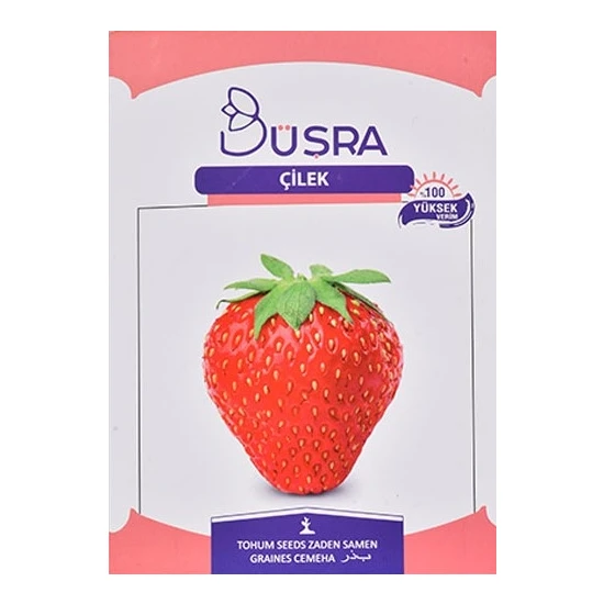 Bursa Strawberry Seed