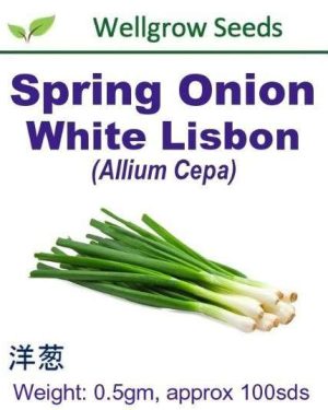 Spring Onion White Lisbon (Allium Cepa) Well Grow | 0.5g (100 Seeds)