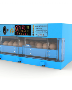 Automatic Egg Incubator (64-Egg Capacity)