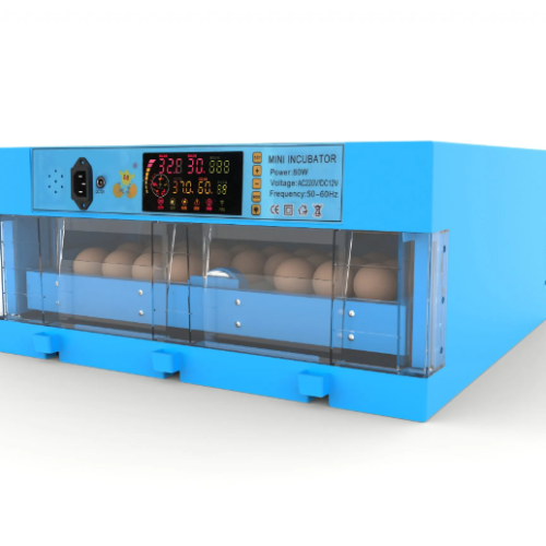Automatic Egg Incubator (64-Egg Capacity)