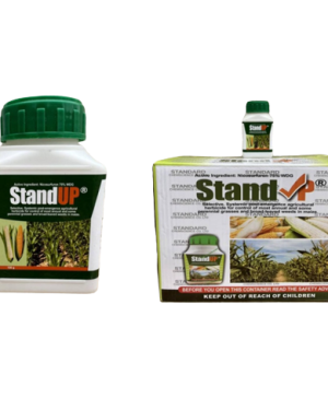 Standup Herbicide 100g (Nicosurfuron 75% WDG)