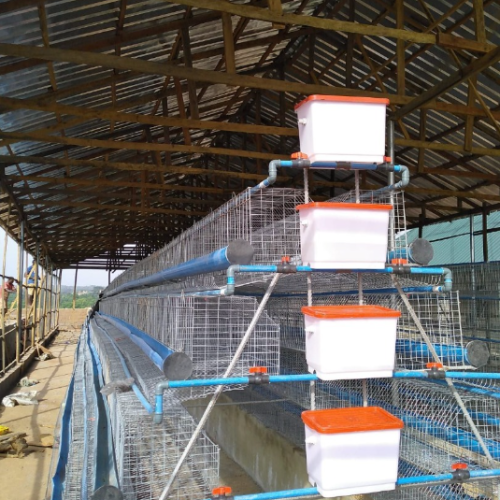 4 Tier Local Battery Cage (128 birds per unit)