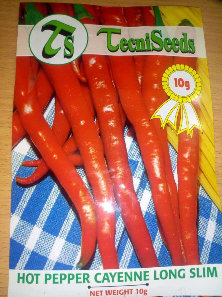 Tecni Hot Pepper Seed (10g) - Image 2