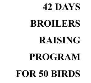 42 DAYS BROILERS RAISING PROGRAM FOR 50 BIRDS