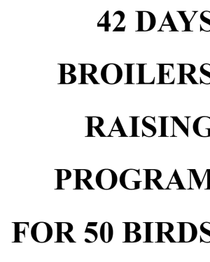 42 DAYS BROILERS RAISING PROGRAM FOR 50 BIRDS
