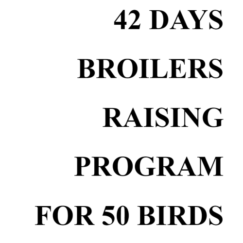 42 Days Broilers Raising Program for 50 Birds (Ebook)