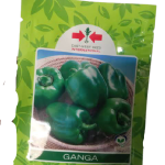 East West Ganga Green Bell Pepper Seeds (10g) - OPV