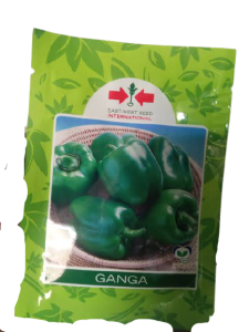 East West Ganga Green Bell Pepper Seeds (10g) - OPV