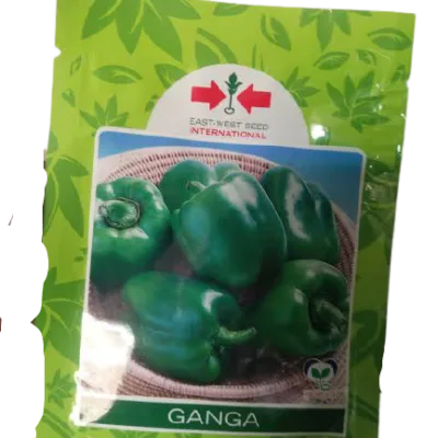 East West Ganga Green Bell Pepper Seeds (5g) – OPV