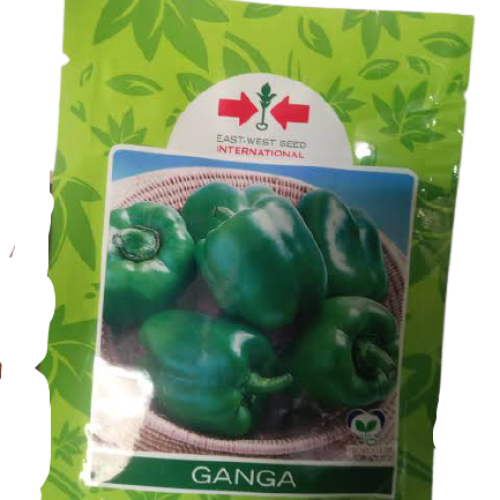 East West Ganga Green Bell Pepper Seeds (10g) – OPV