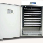 1056 Egg-Capacity Automatic Incubator 500W