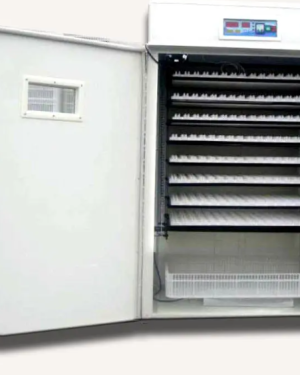 1056 Egg-Capacity Automatic Incubator 500W