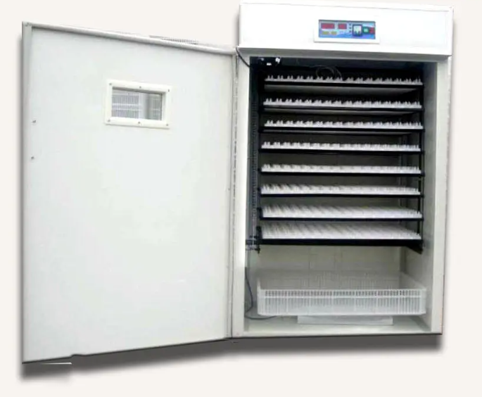 1056 Egg-Capacity Automatic Incubator 500W