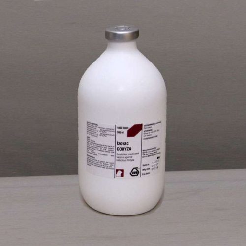 Infectious Coryza | 1000 Doses (500ml)