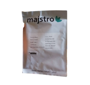 Stilo F1 Short Cucumber Seed