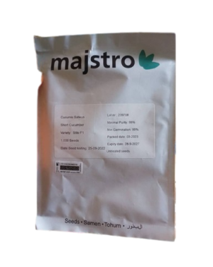 Stilo F1 Short Cucumber Seed