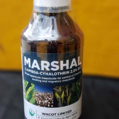 Marshal Insecticide | 1L