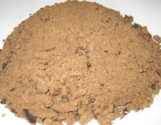 Palm Kernel Cake PKC