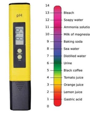 Digital pH Meter (0.01pH Accuracy | 0-60 Celsius)