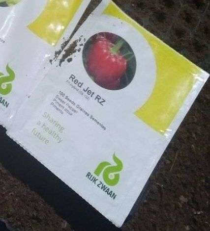 Sweet Red Bell Pepper