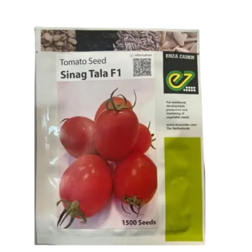 Sinag Tala F1 Tomato Seed | 1500 seeds