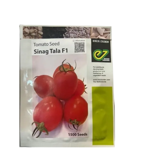 Sinag Tala F1 Tomato Seed