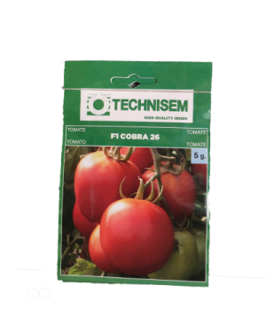 F1 Cobra 26 Tomato (Technisem) Seed | 5g from HTS Farms
