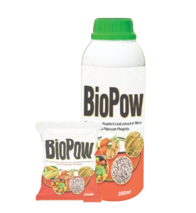 BioPow Fungicide | 250ml (1 Carton) from HTS Farms