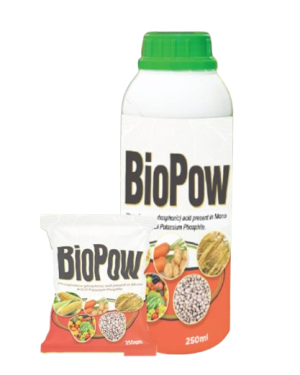BioPow Fungicide | 250ml (1 Carton) from HTS Farms