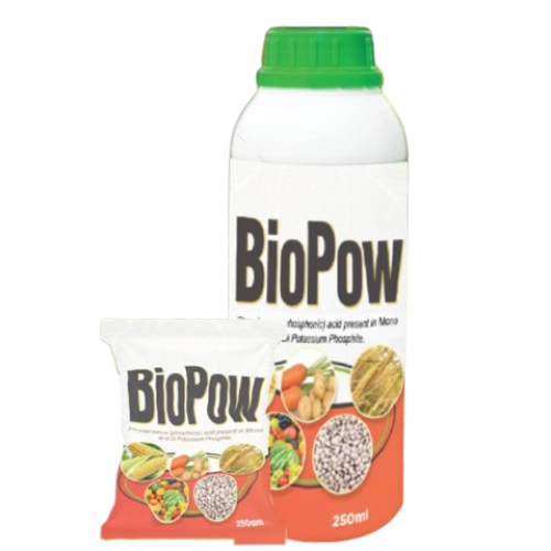 BioPow Fungicide | 250ml (1 Carton)