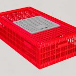 Chicks Transport Crate