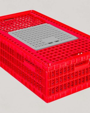 Chicks Transport Crate