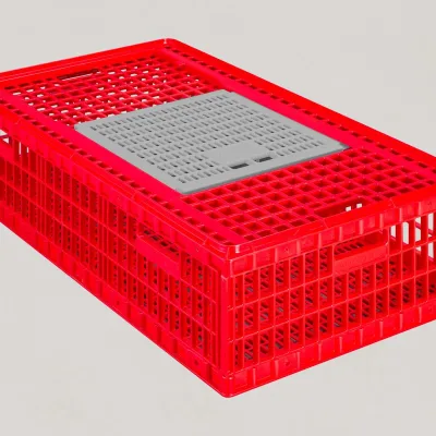 Chicks Transport Crate