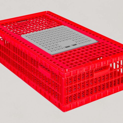 Chicks Transport Crate