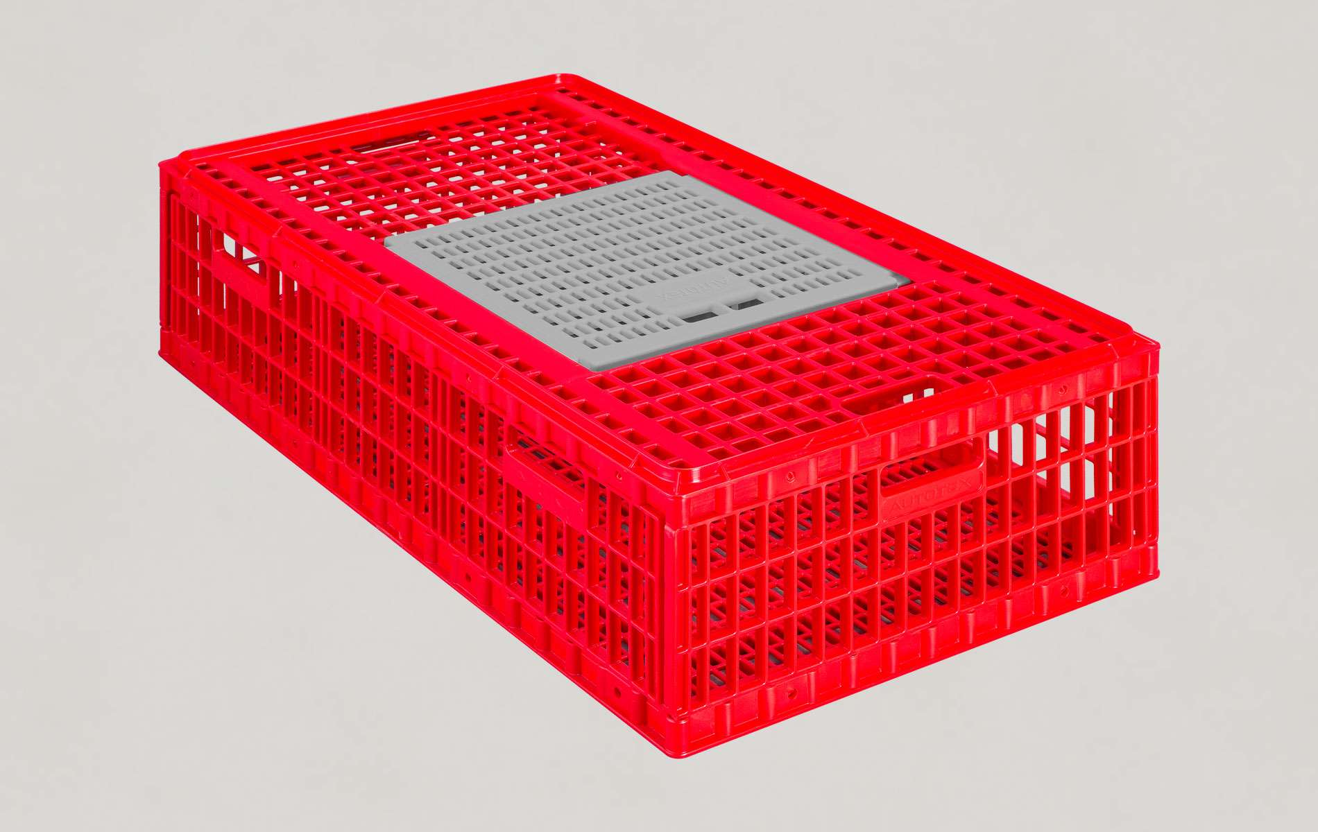 Chicks Transport Crate