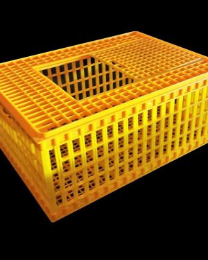 Bird Transport Crate China